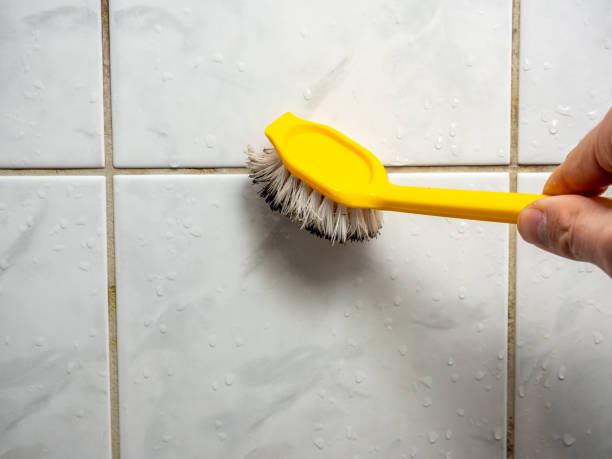 Best Fast Mold Removal  in Carnegie, OK