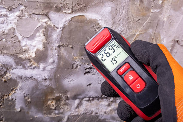 Mold Testing and Removal in Carnegie, OK