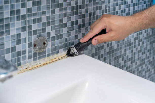 Best Best Mold Removal Companies  in Carnegie, OK