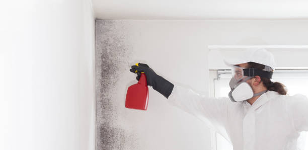 Carnegie, OK Mold Removal Company